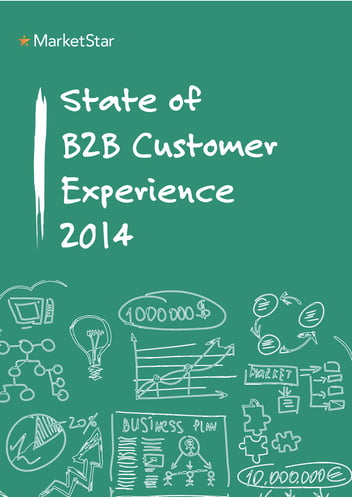 State of B2B Customer Experience 2014